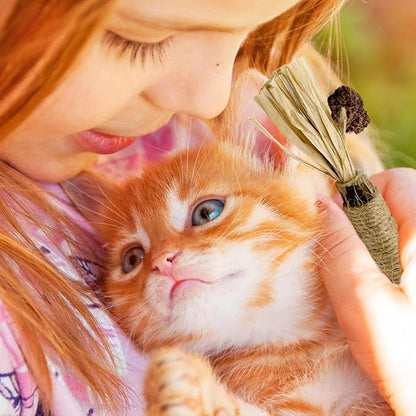 3 Pack Silvervine Sticks Cat Toys, 100% Natural Kitten Teething Chew Toys, Catnip Toys for Kittens & Cats, Cat Approved Gift, Protects Furniture