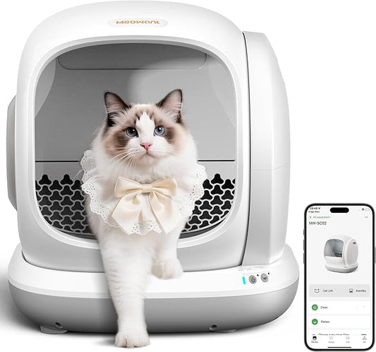 Meowant Self Cleaning Litter Box, Automatic Litter Box Self Cleaning with APP Control, 75L Extra Large Open Low Entry Smart Cats Litter Boxs for Multi-Cat Compatible Senior Cats Large Cats