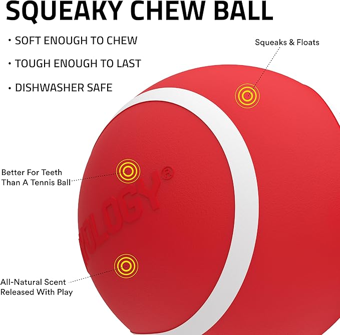 Playology Dog Toys | Squeaky Chew Ball - Bouncy Durable Floating Fetch Ball for Dogs | Medium Beef Scented Toy - Easy to Clean and Made from Non Toxic Materials