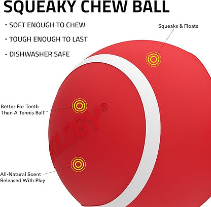 Playology Dog Toys | Squeaky Chew Ball - Bouncy Durable Floating Fetch Ball for Dogs | Medium Beef Scented Toy - Easy to Clean and Made from Non Toxic Materials