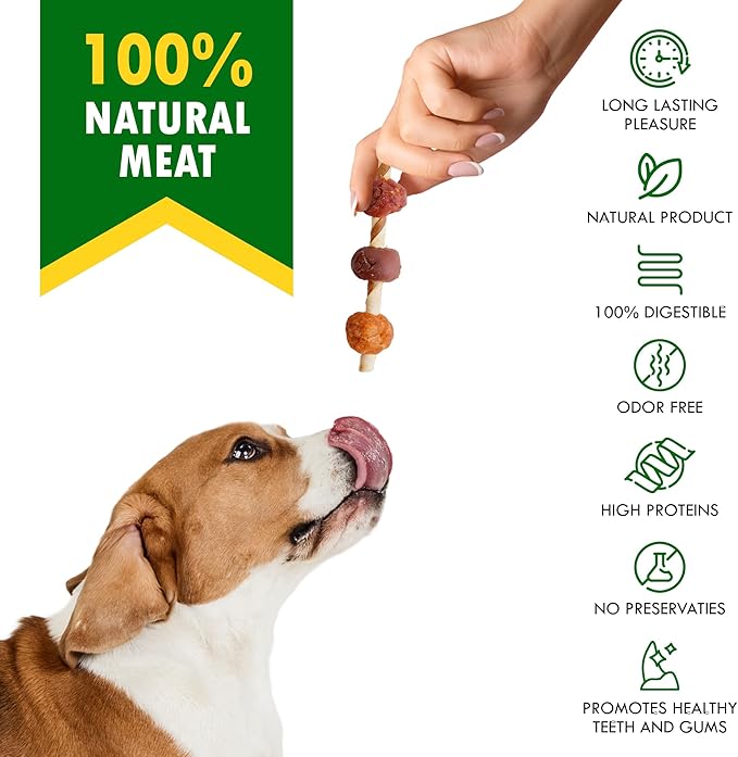 Dog Treats Rawhide Kabobs with Duck & Chicken Human Grade Meat 10.6 Oz - All Natural & Dried Snacks - Grain Free Long Lasting Chews for Large & Small Dogs - Best Sticks for Training