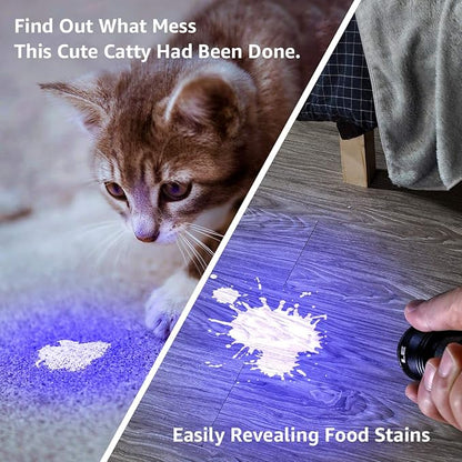 Lighting EVER Black Light Flashlight, Small UV Lights 395nm, Portable Ultraviolet Light Detector for Invisible Ink Pens, Dog Cat Pet Urine Stain, AAA Batteries Included