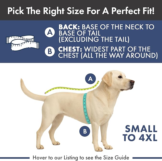 Spark Paws Dog Christmas Pajama, Dog Recovery Suit Male, Onesie, Ultra-Soft and 4-Way Stretch, for Small Medium and Large Breeds - Santa and Rudolph - XL