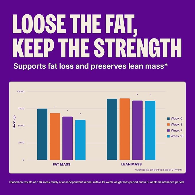 Wellness CORE Dry Dog Food, Small Breed, Grain-Free, High Protein, Natural, Healthy Weight Turkey & Chicken Recipe, (4-Pound Bag)