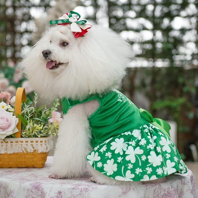 CuteBone St.Patrick's Day Dog Green Dress Velvet for Small Dogs Girl Puppy Dresses Clover Dog Clothes CVA14L-D