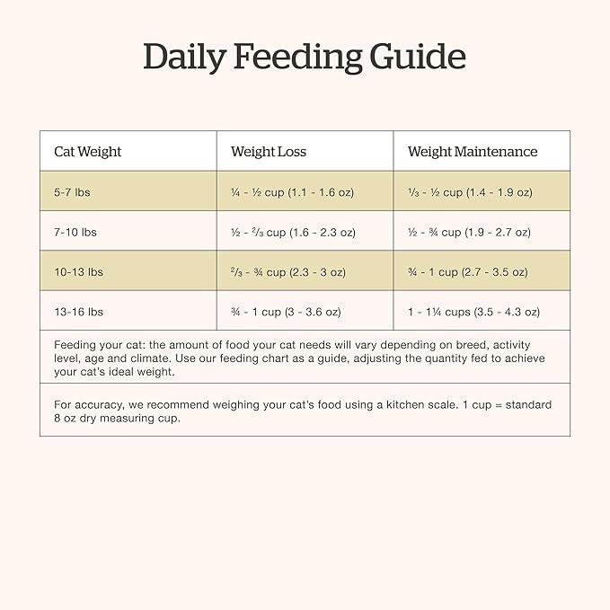 Now Fresh Grain-Free Dry Cat Food with Turkey, Salmon & Duck, Healthy Kibble for Adults Made with Real Meat & Fish, Chicken-Free, with Pumpkin & Probiotics for Sensitive Stomachs, 16 lb Bag
