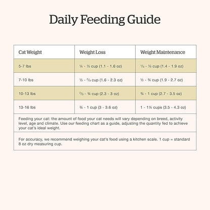 Now Fresh Grain-Free Dry Cat Food with Turkey, Salmon & Duck, Healthy Kibble for Adults Made with Real Meat & Fish, Chicken-Free, with Pumpkin & Probiotics for Sensitive Stomachs, 16 lb Bag