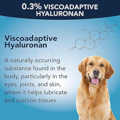 NOVEHA Pet Gel Eye Drops with 0.3% Viscoadaptive Hyaluronan | Eye Solution for Severe Dry Eyes - Long Lasting Hydration, Reduces Nuisance, Swelling & Dryness - Eye Lube for Dog and Cats (2PK - 2x10mL)