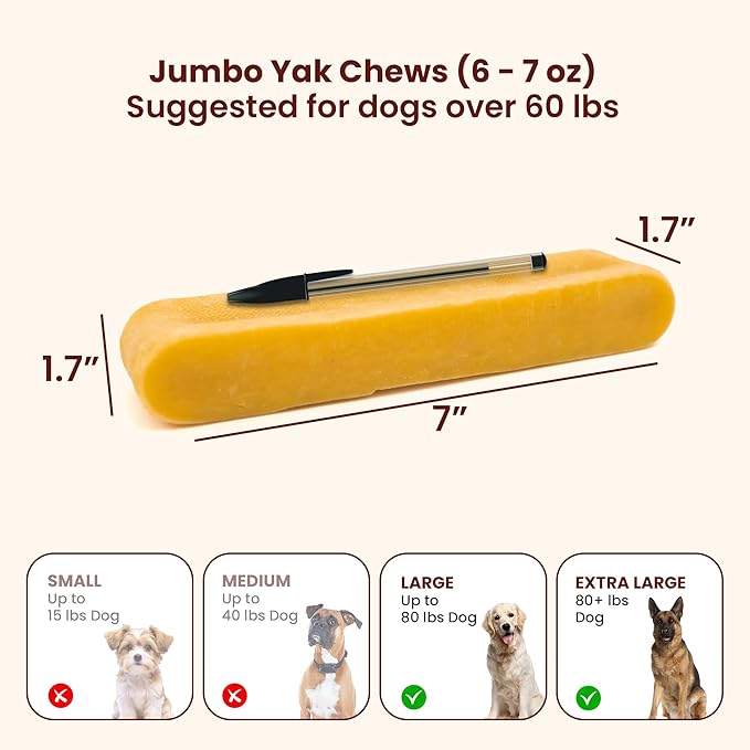 Authentic Himalayan Yak Cheese for Dogs - Jumbo (Pack of 1) - Sourced from Pristine Himalayan Foothill, Rawhide-Free, NO preservatives