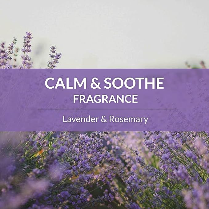 SKOUT'S HONOR Pet Deodorizer Spray- Hydrating Daily-Use with Avocado Oil & Omega-3s, Microbiome Friendly Certiified, Paraben & Sulfate-Free, 97% Natural, 8oz, Lavender