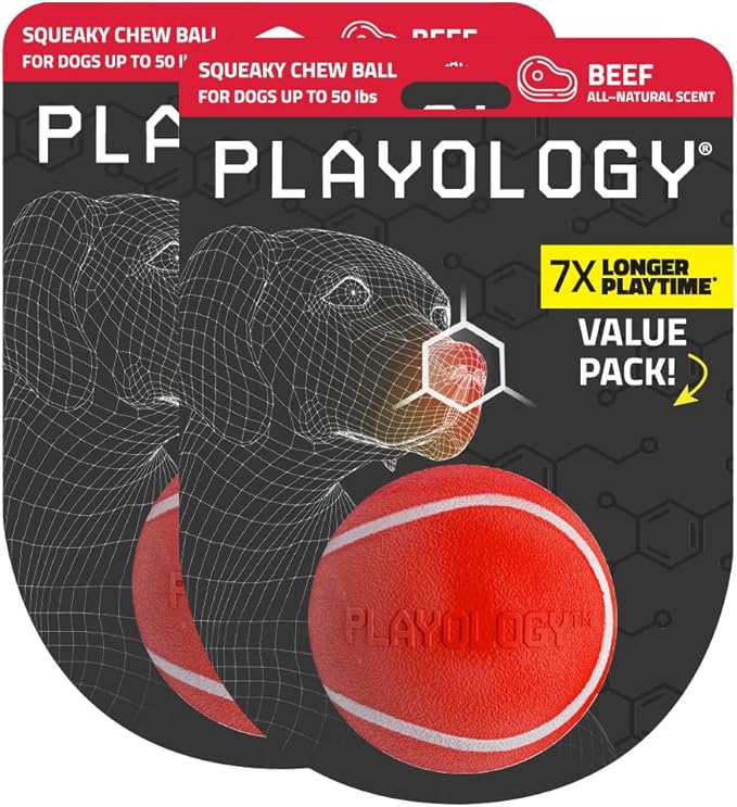 Playology Dog Toys | Squeaky Chew Ball - Bouncy Durable Floating Fetch Ball for Dogs, Value 2-Pack | Medium Beef Scented Toy - Easy to Clean and Made from Non Toxic Materials