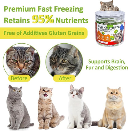 Freeze-Dried Cat Grass Treats with Omega-3 Fish Oil Blend - Hairball Control, Skin & Coat Health for Cats (Chicken & Fish Oil, 1.76 oz)