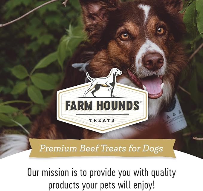 Farm Hounds - Beef Heart - Premium Natural Beef Heart Jerky for Dogs - Made from 100% Humanely Raised Cattle - Organ Treat - Great for Training & Treats - No Added Fillers - Made in USA - 4oz -2 Pack