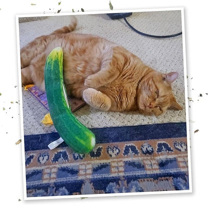 Meowijuana Pickle Bundle | Get Kickin' Refillable Spicy Pickle Toy and Meowi-Waui Catnip | Promotes Play and Cat Health | Includes North American Organic Catnip