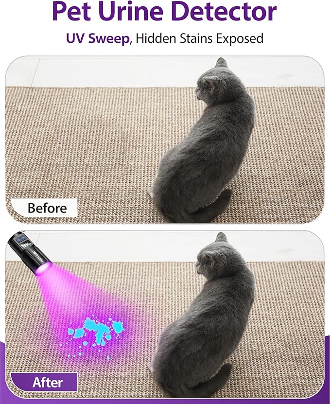 Black Light Flashlight, UV Light USB C Rechargeable with LCD Display, Zoomable Woods Lamp 2N1, 395NM Blacklight for Pet Urine Detection, Resin Curing, Rocks, Travel, Minerals, Scorpion, Glass, Leak