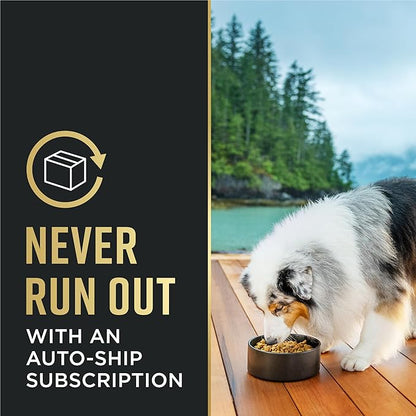 Purina Pro Plan Complete Essentials Shredded Blend Chicken and Rice Dog Food Dry Formula with Probiotics for Dogs - 35 lb. Bag