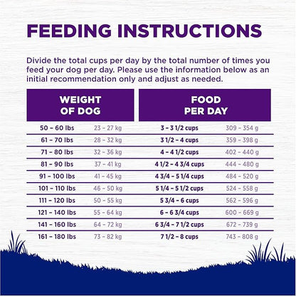 Wellness Complete Health Dry Dog Food, Large Breed, Wholesome Grains, Chicken & Brown Rice Recipe, (38-Pound Bag)