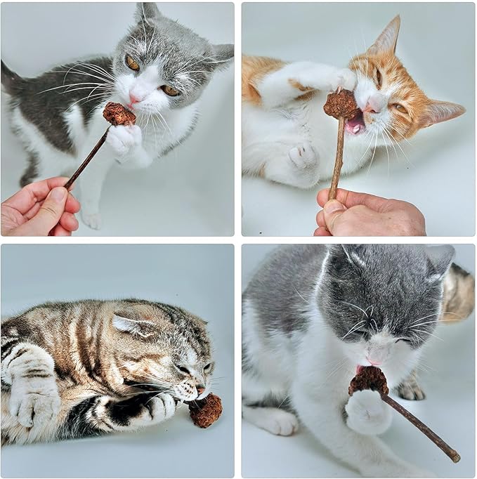 4 PCS Silvervine Stick Cat Toy with Gall Fruit – Natural Lollipop-Shaped Matatabi Chew Toy for Cats – Catnip Alternative for Teeth Cleaning, Anxiety Relief & Interactive Play – 4.8" Cat Dental Toy
