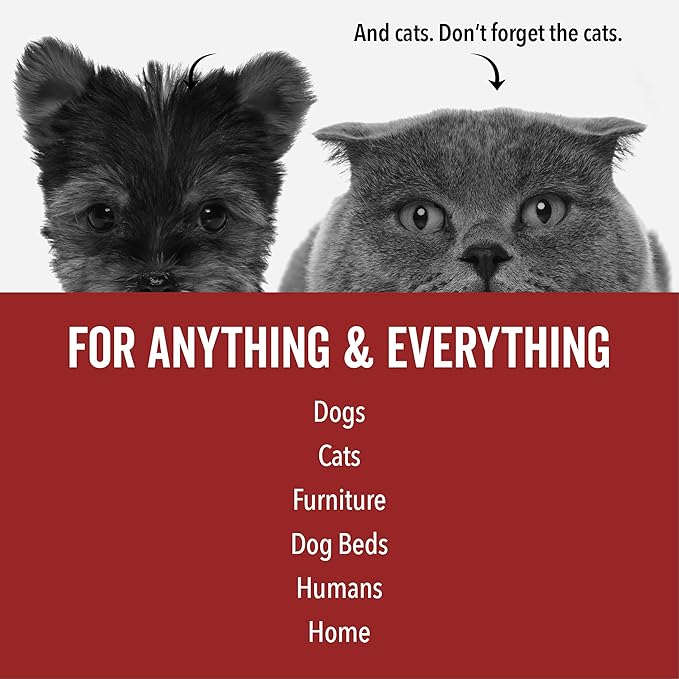 PRIDE AND GROOM DogDays Deodorizing Dog Spray | Long-Lasting Pet Odor Eliminator with Fresh & Clean Scent | Hydrating Dog Cologne & Coat Refresher – 8 fl oz