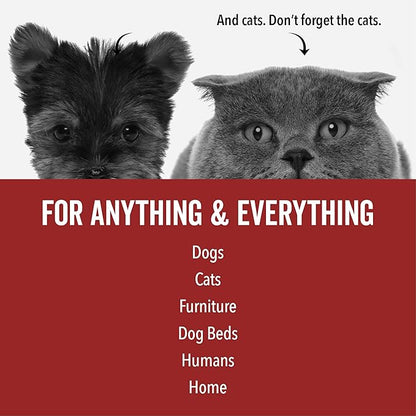 PRIDE AND GROOM DogDays Deodorizing Dog Spray | Long-Lasting Pet Odor Eliminator with Fresh & Clean Scent | Hydrating Dog Cologne & Coat Refresher – 8 fl oz