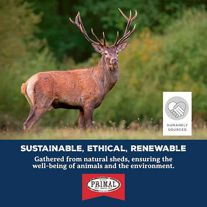 Primal Antlers for Dogs, Grade A Split Elk Antlers for Small Canines up to 15 lb, Natural Chews for Aggressive Chewers, Naturally Shed, Long Lasting Dog Bones, 1 ct