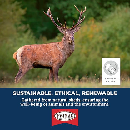 Primal Antlers for Dogs, Grade A Split Elk Antlers for Small Canines up to 15 lb, Natural Chews for Aggressive Chewers, Naturally Shed, Long Lasting Dog Bones, 1 ct