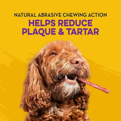 Dingo Non-China Munchy Stix Dog Chews for All Dogs, 50-Count (Pack of 2)