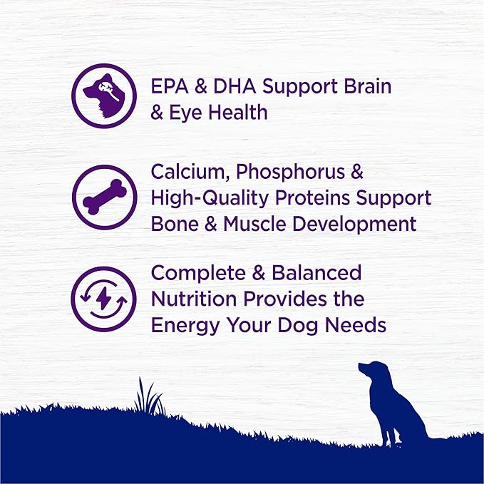 Wellness Natural Pet Food Complete Health Natural Dry Large Breed Puppy Food, Chicken, Salmon & Rice, 30-Pound Bag