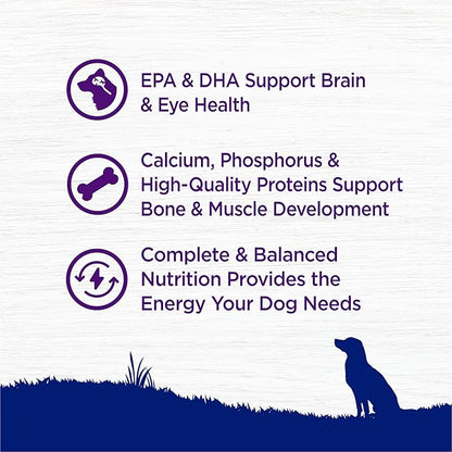 Wellness Natural Pet Food Complete Health Natural Dry Large Breed Puppy Food, Chicken, Salmon & Rice, 30-Pound Bag