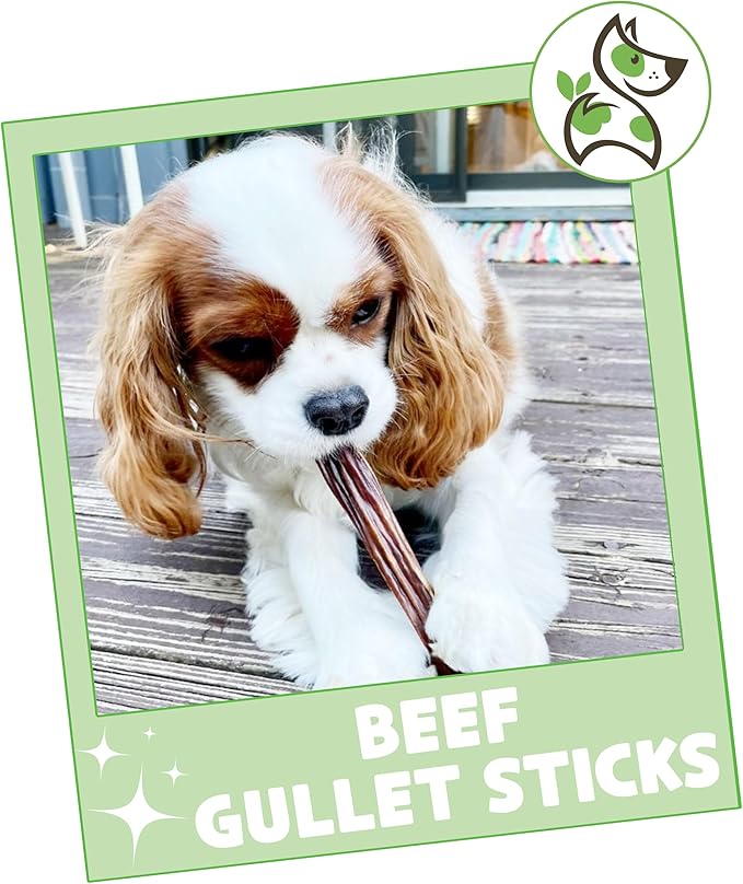 Nature Gnaws Beef Gullet Sticks for Dogs 5-6" (1Lb) - Natural Beef Jerky Stick Dog Chew Treats - Rawhide Free