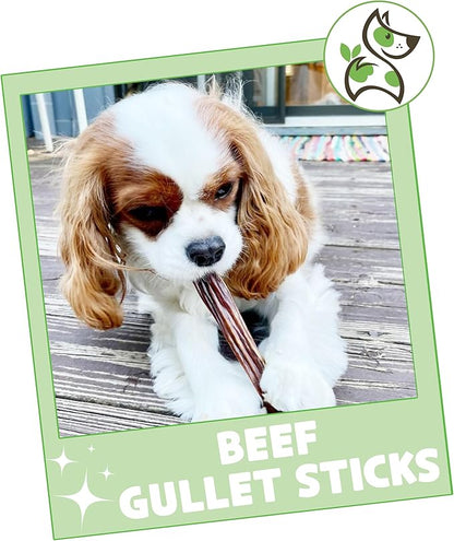 Nature Gnaws Beef Gullet Sticks for Dogs 5-6" (1Lb) - Natural Beef Jerky Stick Dog Chew Treats - Rawhide Free