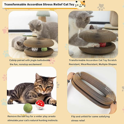 Magic Organ Cat Scratching Board Adventure Toy with Bell and Catnip Balls Foldable and Changeable Shape Accordion Toy Ultimate Interactive Mental & Physical Exercise Cat Toys for Indoor Cats
