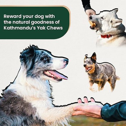 Authentic Himalayan Yak Cheese for Dogs - XXLarge (Pack of 5) - Sourced from Pristine Himalayan Foothill, Rawhide-Free, NO preservatives