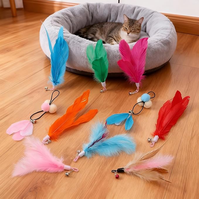 60 Pcs Cat Wand Feather Toys Refill Colorful Cat Wand Replacement Feathers Toy for Interactive Kitten Fishing Pole Feather Attachments with Bells for Indoor Stray Cats to Exercise and Play