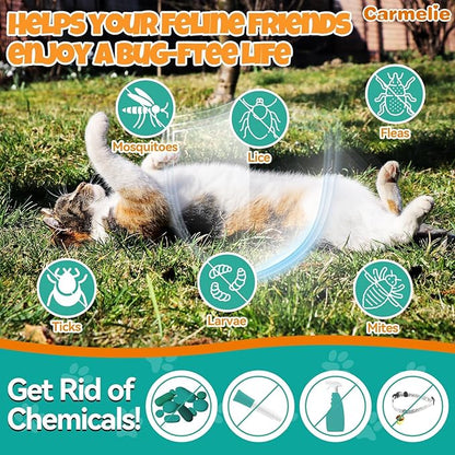 Flea and Tick Support for Cats, Natural Cat Flea Liquid Drops, Flea & Tick Supplement with Vitamins & Fish Oil for Cats - All Breeds, Kittens to Senior Cat - Chicken Flavor