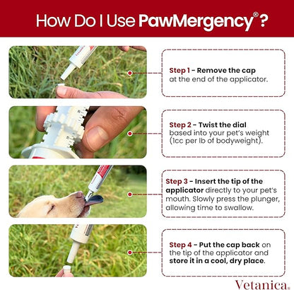 PawMergency – Activated Charcoal First Aid Kit Emergency Rescue for Dogs, Cats, Puppy & Pet Poison Kit, Camping Survival Remedy Essential,Oral Anti Diarrhea Digestive Paste Ready Absorb Toxins (30mL)