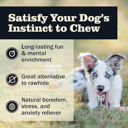 Redbarn Pet Products All Natural 4-5" Bully Sticks for Small & Medium Dogs - Healthy Long Lasting Chews Variety Party Pack - 100% Beef Single Ingredient Low Odor Rawhide Free - Bag, 12oz