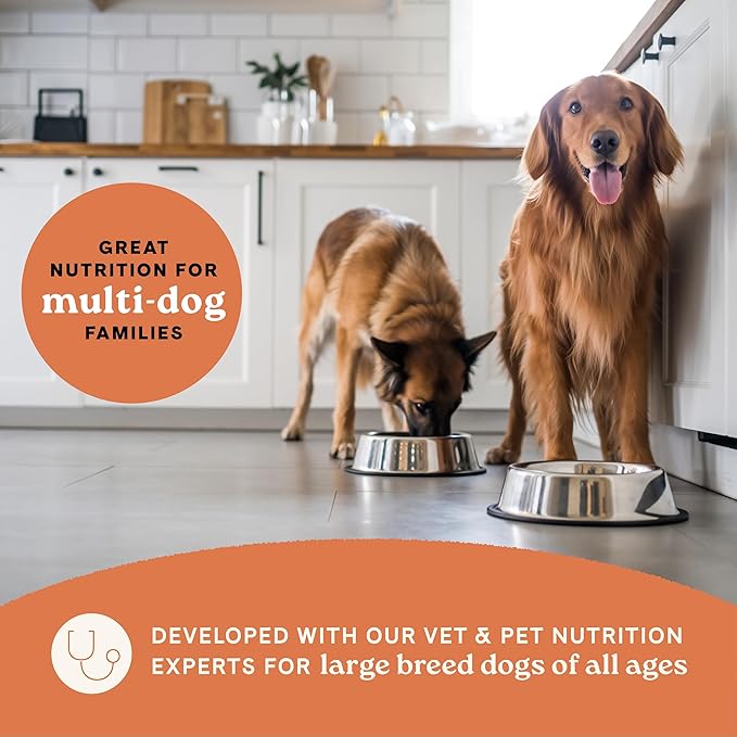 Canidae All Life Stages Dry Dog Food, Large Breed Multi-Protein Recipe, 40 lbs.