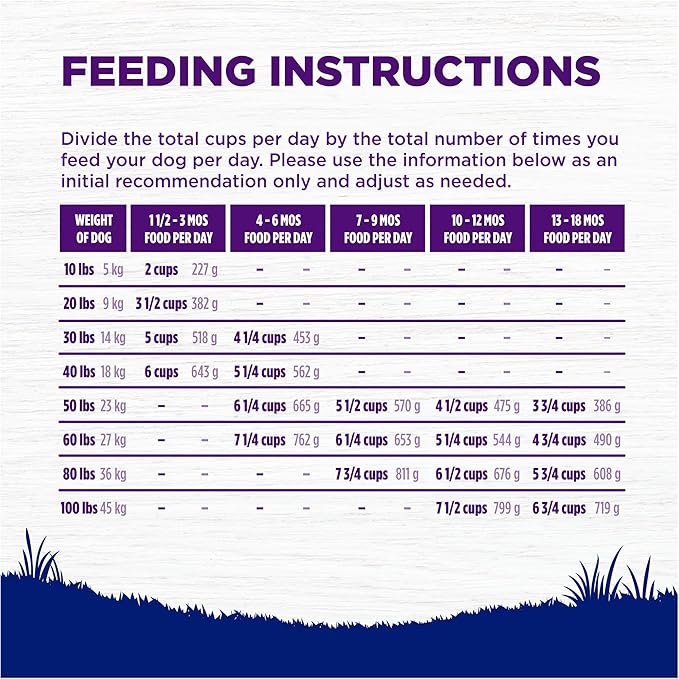 Wellness Natural Pet Food Complete Health Natural Dry Large Breed Puppy Food, Chicken, Salmon & Rice, 30-Pound Bag