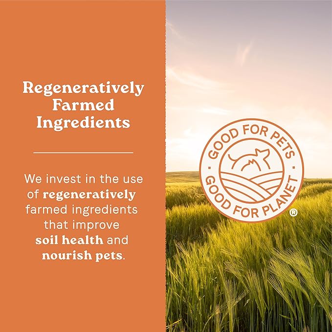 Canidae All Life Stages Multi-Protein Recipe with Chicken, Turkey, Lamb, and Fish – High Protein Premium Dry Dog Food for All Ages, Breeds, and Sizes– 5 lbs.