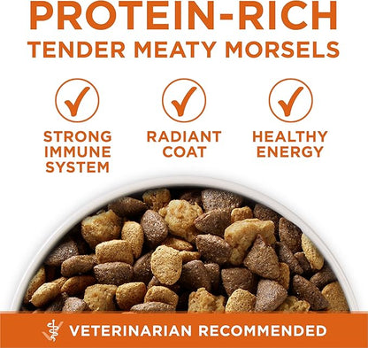 Purina ONE Plus Healthy Weight High-Protein Dog Food Dry Formula - 31.1 lb. Bag