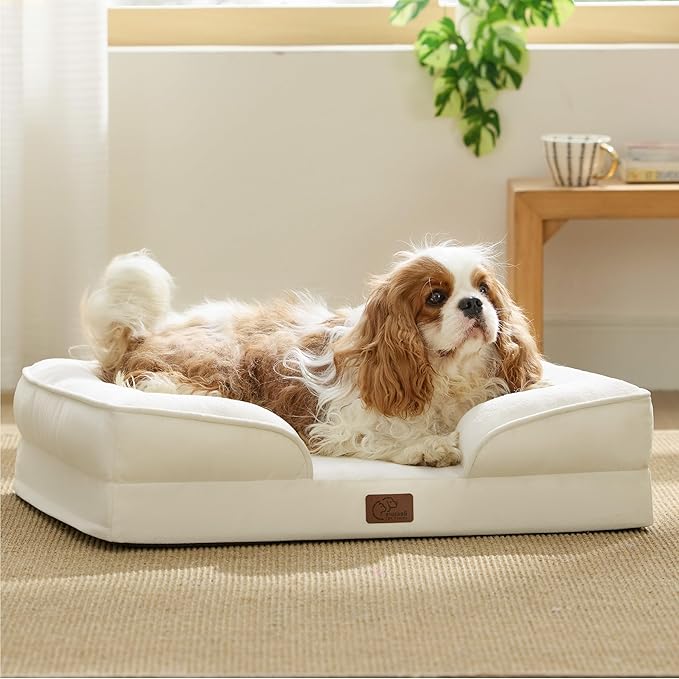 Bedsure Orthopedic Dog Bed Medium Size Dogs - Washable Medium Dog Cat Bed Waterproof, Comfort Pet Couch Sofa with Washable Removable Cover, Pets Bed with Nonskid Bottom, Ivory, 28"