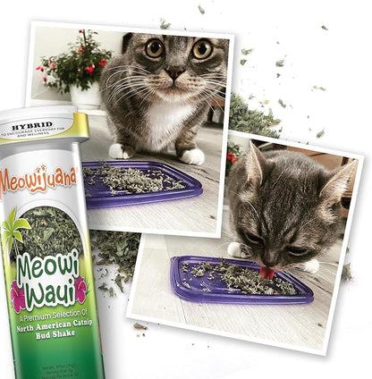 Meowijuana Pickle Bundle | Get Kickin' Refillable Spicy Pickle Toy and Meowi-Waui Catnip | Promotes Play and Cat Health | Includes North American Organic Catnip