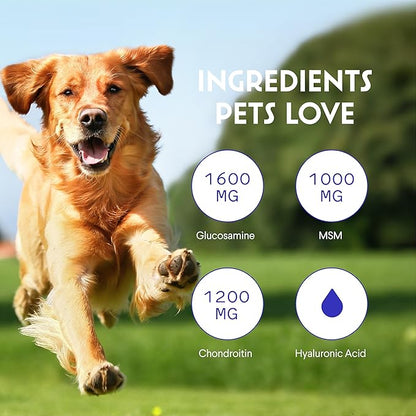 WONDER PAWS Premium Liquid Glucosamine for Dogs Strength Joint Support, Flexibility, Cartilage & Mobility - Hip and Joint Supplement with Chondroitin, MSM, Collagen & Hyaluronic Acid (16 Oz)
