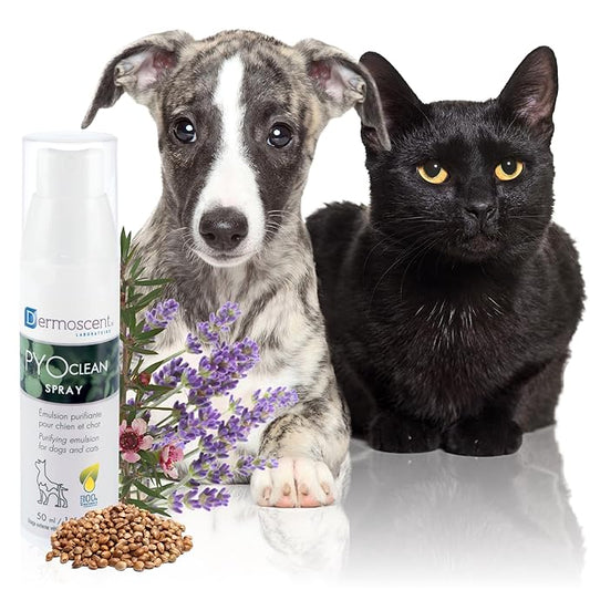 Dermoscent PYOclean® Spray for Dogs & Cats Balances the Skin, Prevents Pimples, Chin Acne, Reddened Skin & Scabs, 50 ml (1.66 fl. oz.)