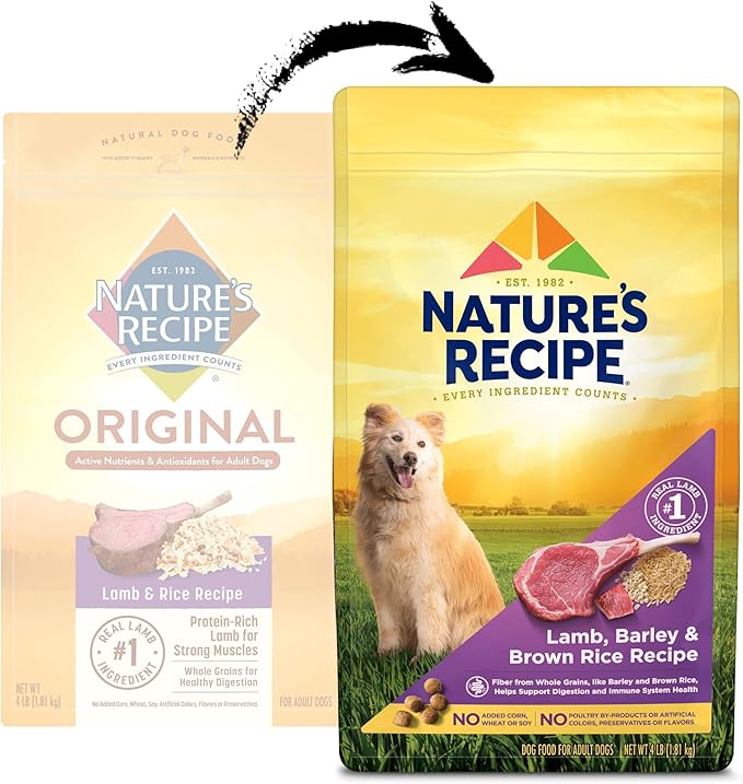 Nature′s Recipe Lamb, Barley & Brown Rice Recipe Dry Dog Food, 4 lb. Bag