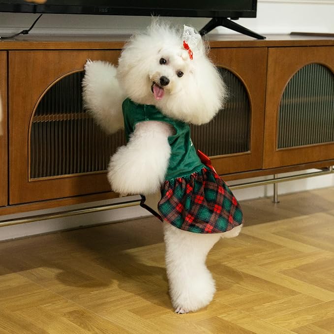 CuteBone Christmas Tree Dog Dress Velvet for Small Dogs Girl Puppy Dresses Green Plaid Dog Clothes CVA05S-D