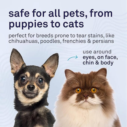 Petpost Tear Stain Remover Comb for Dogs | Extra Fine Stainless Steel Dog Eye Comb | Gentle Grooming Tool for Shih Tzu, Maltese & Small Breeds | Dog Face Comb for Eye Cleaning