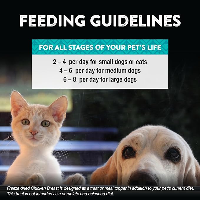 Northwest Naturals Raw Rewards Freeze-Dried Chicken Breast Treats for Dogs and Cats - Bite-Sized Pieces - Healthy, 1 Ingredient, Human Grade Ingredients, Natural, Made in USA, 10 Oz (Pack of 2)