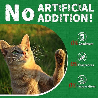Just Try 13.4 OZ Cat Treats for Indoor Cats Hairball Control Natural Salmon Healthy Cat Grass Treats Kitten Snacks Training Biscuits Catnip for Cats Dental Care